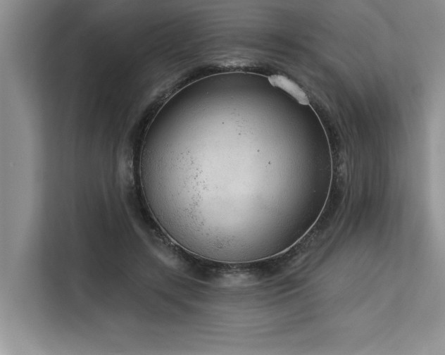 X0000113080547200908281225