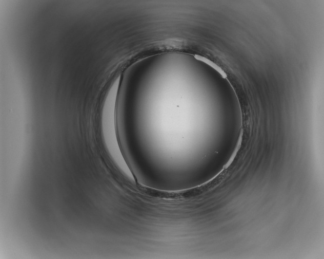 X0000113080548200908281225