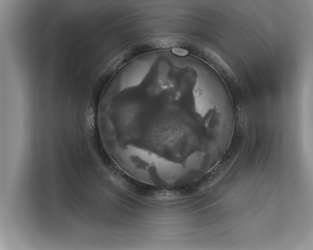 X0000113080549200908281225