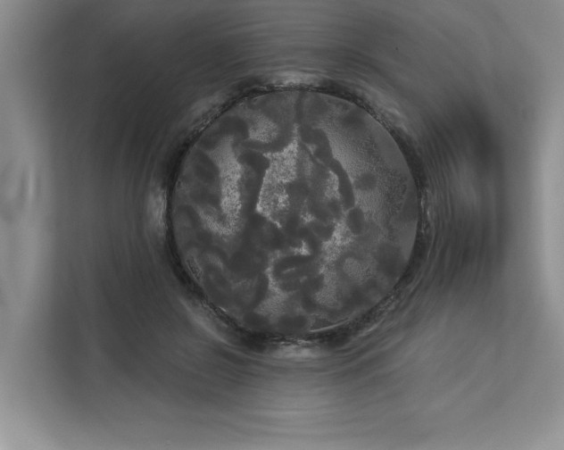 X0000113080550200908281225