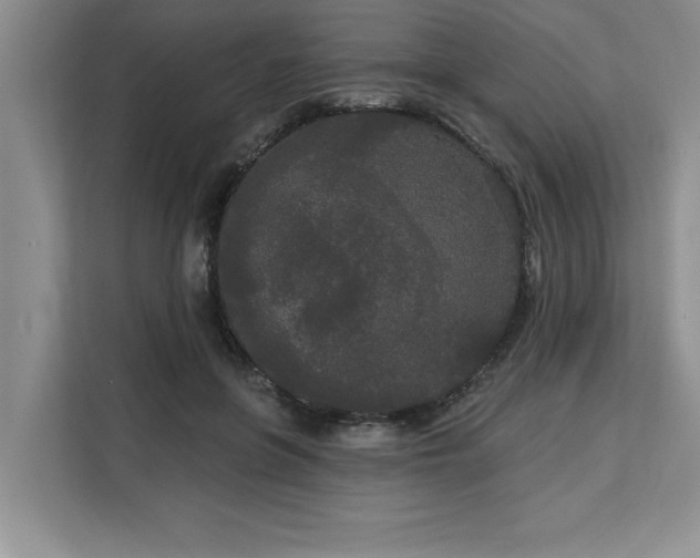 X0000113080551200908281225