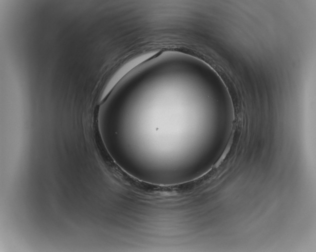 X0000113080552200908281225