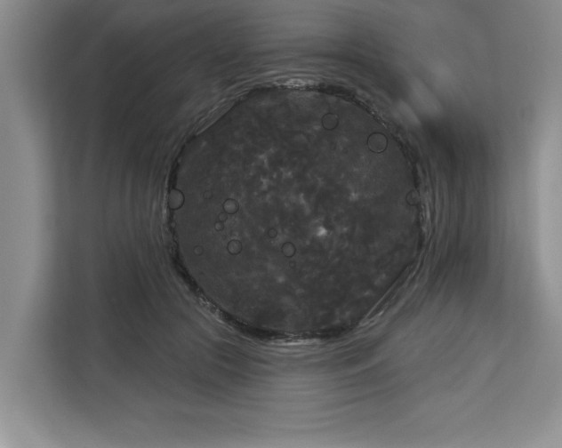 X0000113080553200908281225