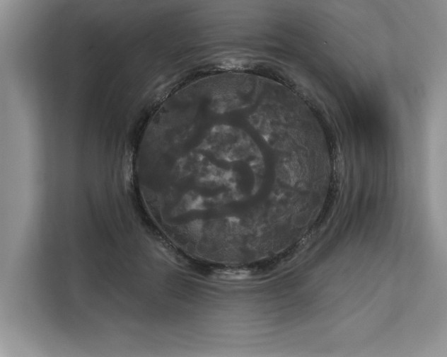 X0000113080554200908281225