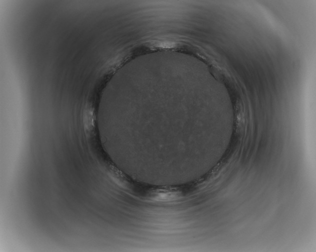 X0000113080555200908281225