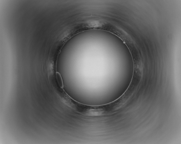 X0000113080556200908281225