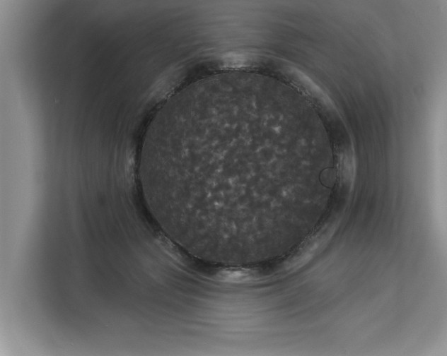 X0000113080557200908281225