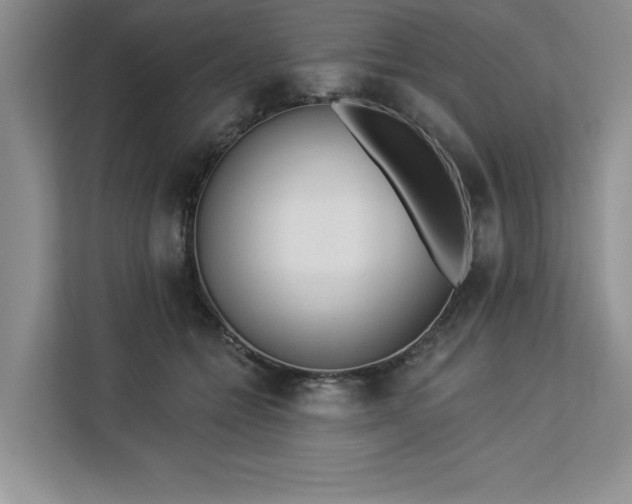 X0000113080558200908281225