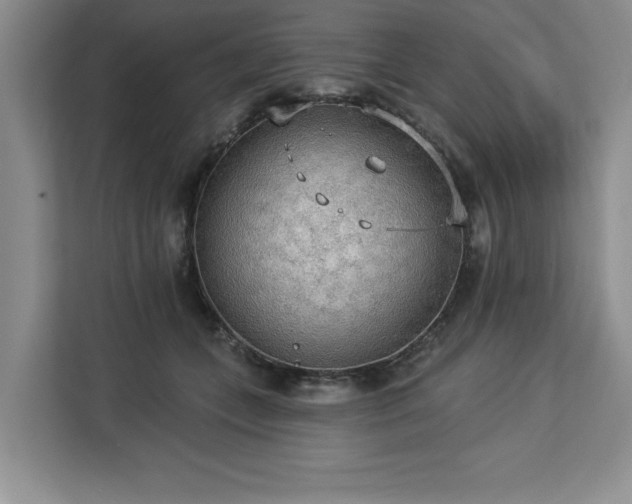 X0000113080559200908281225