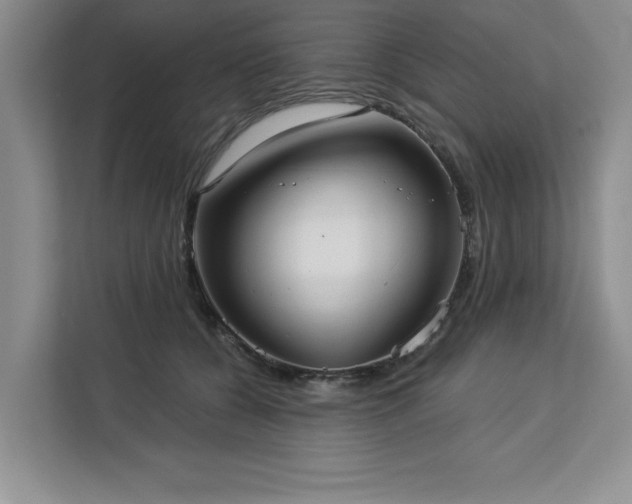 X0000113080560200908281225