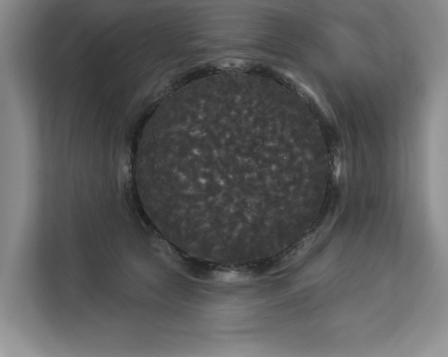 X0000113080561200908281225