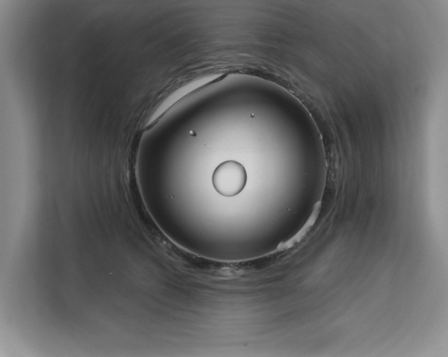 X0000113080562200908281225