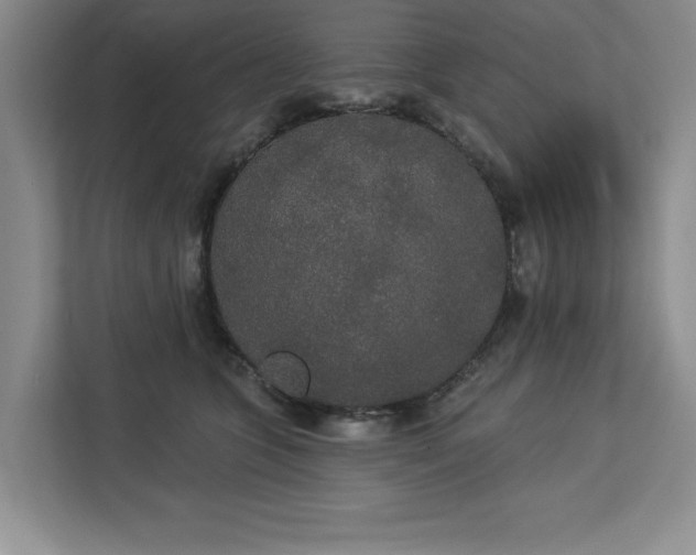 X0000113080563200908281225