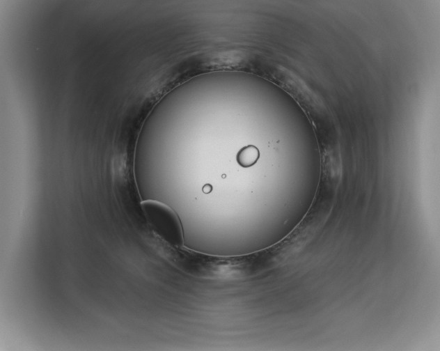 X0000113080564200908281225