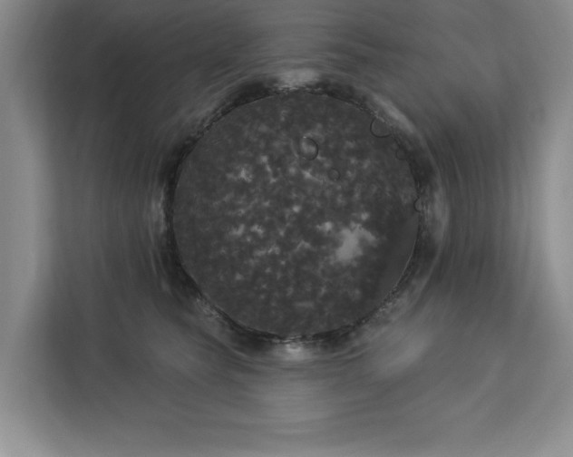 X0000113080565200908281225