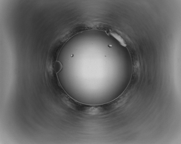 X0000113080566200908281225