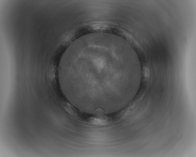 X0000113080567200908281225