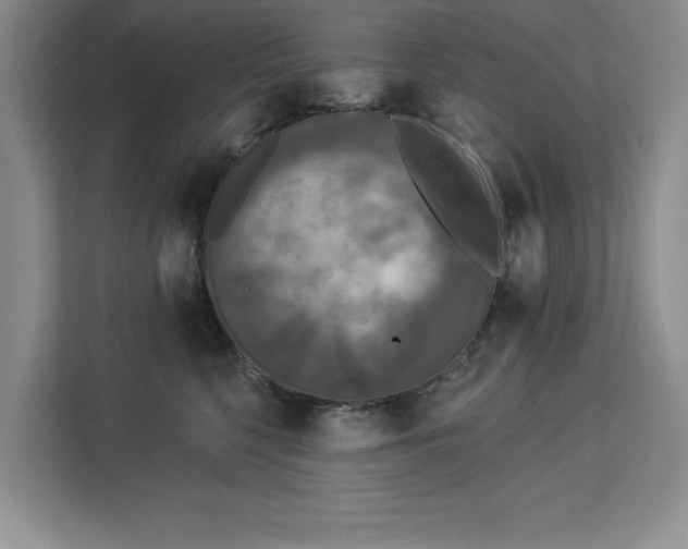 X0000113080568200908281225