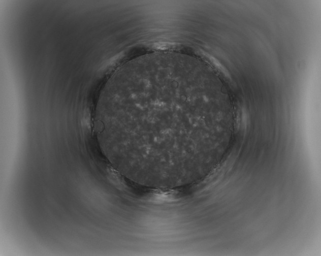 X0000113080569200908281225