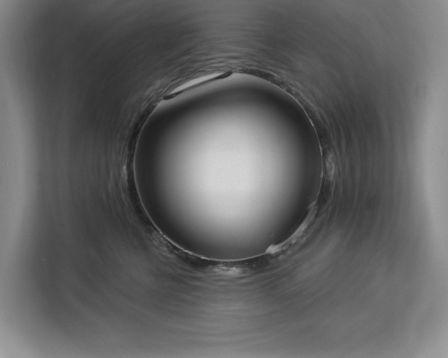 X0000113080570200908281225