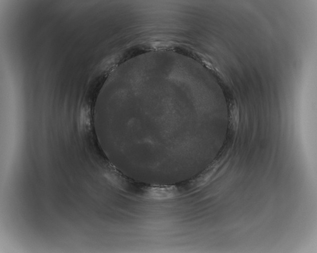 X0000113080571200908281225