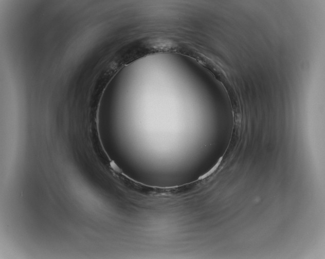 X0000113080572200908281225