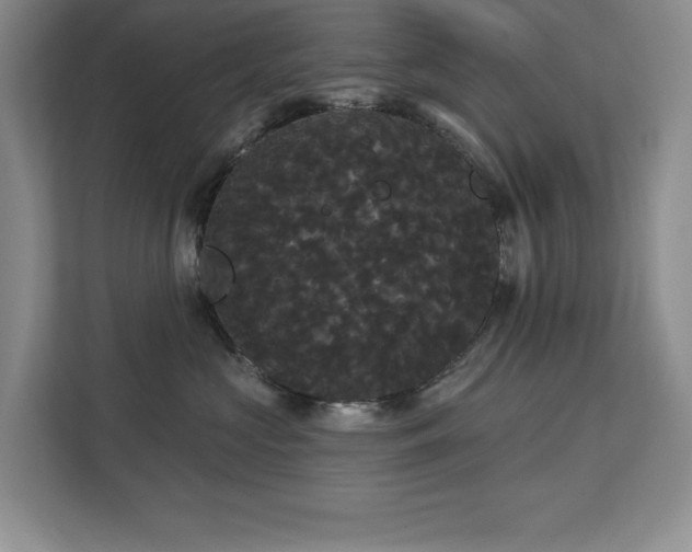 X0000113080573200908281225