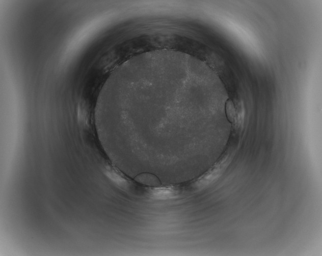 X0000113080574200908281225