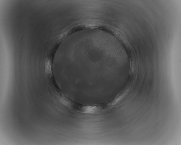 X0000113080575200908281225