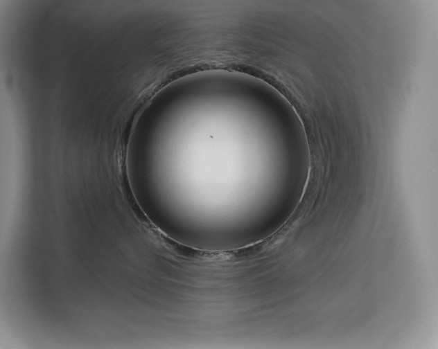 X0000113080576200908281225