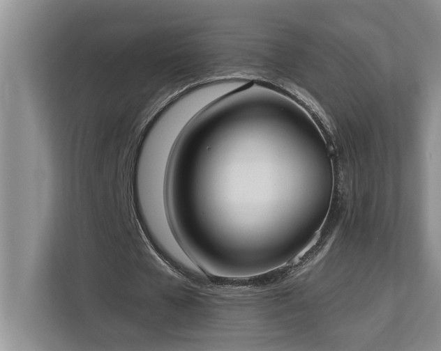 X0000113080577200908281225