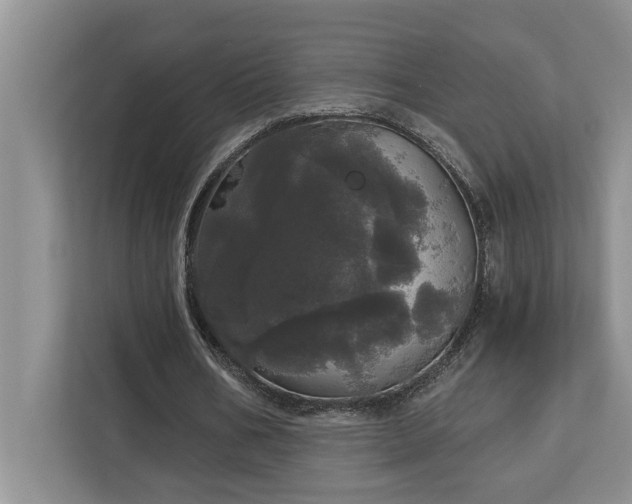 X0000113080578200908281225