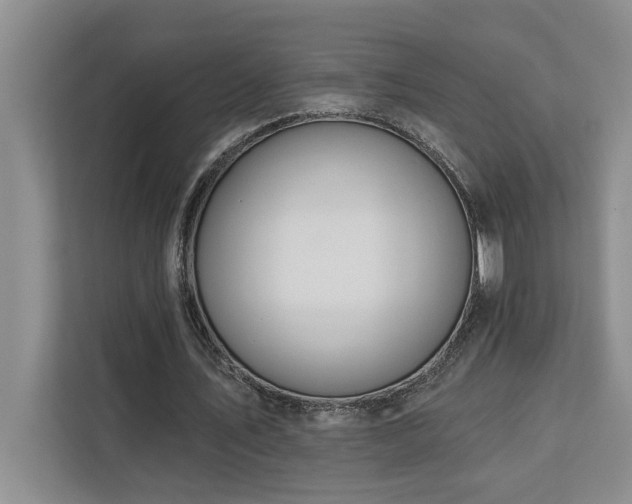 X0000113080579200908281225