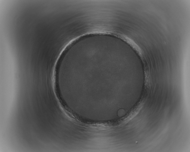 X0000113080580200908281225