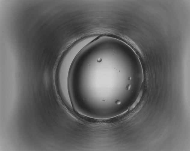 X0000113080581200908281225