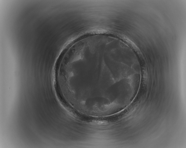 X0000113080582200908281225