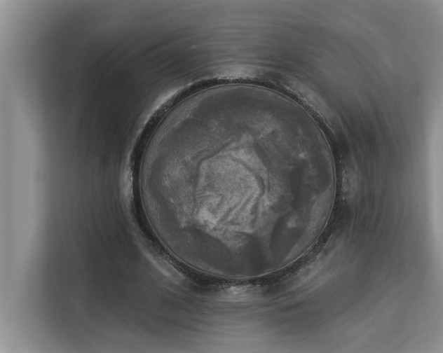 X0000113080584200908281225