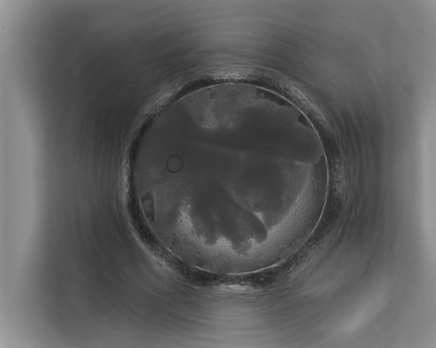 X0000113080586200908281225