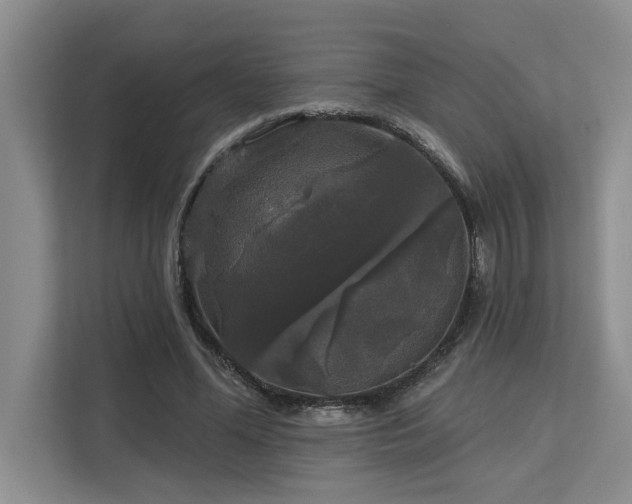 X0000113080588200908281225