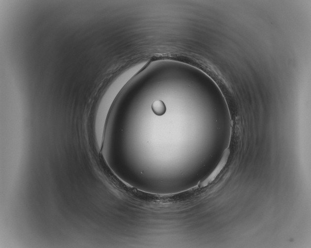 X0000113080589200908281225