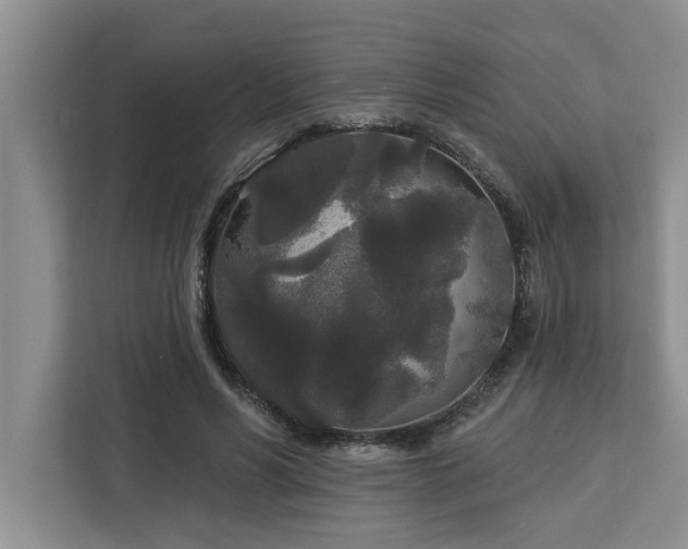 X0000113080590200908281225