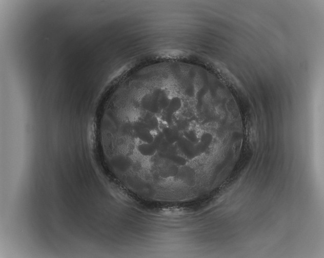 X0000113080591200908281225