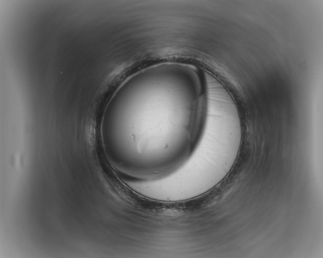 X0000113080592200908281225