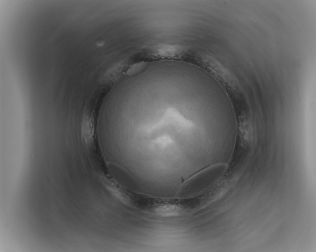 X0000113080593200908281225