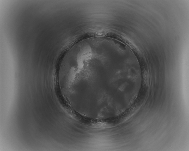 X0000113080594200908281225