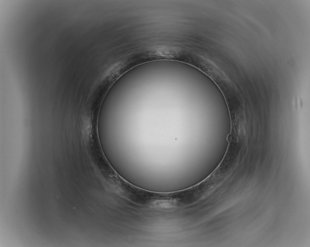 X0000113080595200908281225