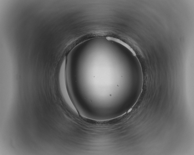 X0000113080596200908281225