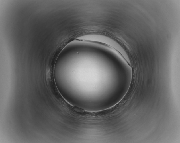 X0000113080597200908281225