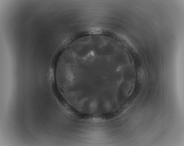 X0000113080598200908281225