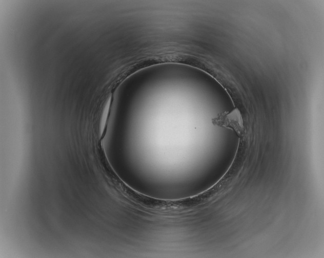 X0000113080599200908281225